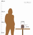 TOREBKA PRZEWIESZKA SASZETKA NA RAMIĘ SKÓRA GREENBURRY 1610-25